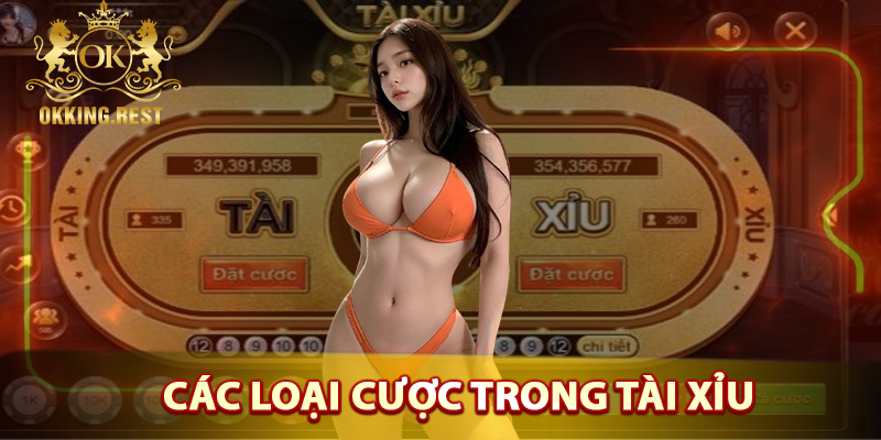 Các loại cược trong tài xỉu